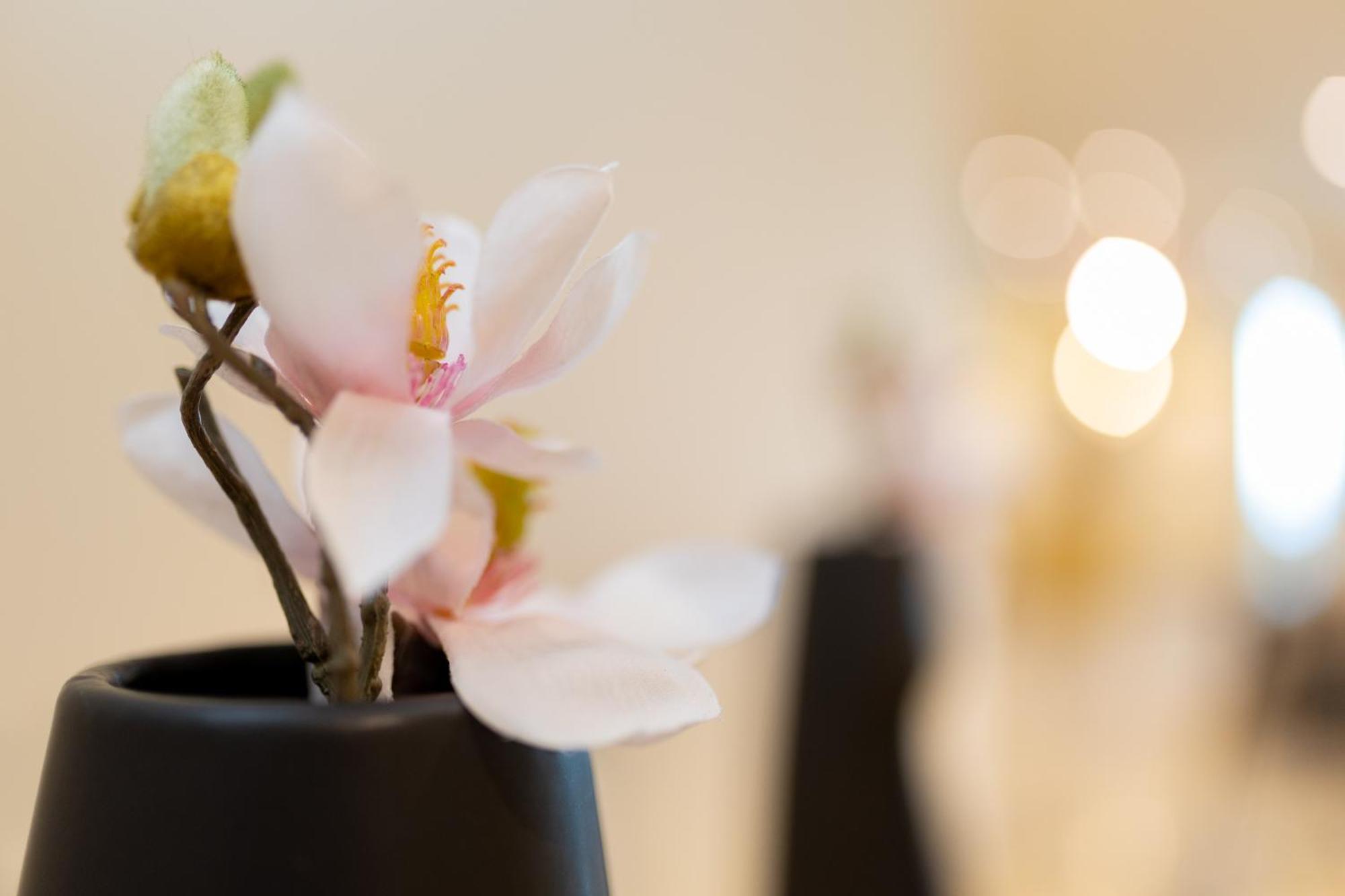 Hotel Ben Aouda & Spa Tipaza 외부 사진